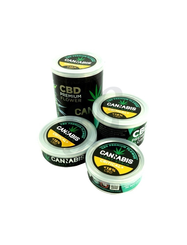 Critical + Flores de Cáñamo Cannabis Light Spain