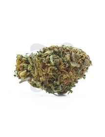 Flores The Tree CBD Outdoor 'Super Boof'