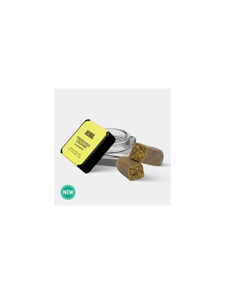 Hash CBD KEMA 'Tropicana Cookies'