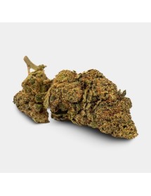 Flores CBD KEMA 'Plutonium'