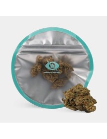 Flores CBD KEMA 'Amnesia Haze'