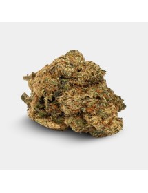 Flores CBD KEMA 'Amnesia Haze'