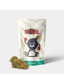 Flores CBD GB Outdoor...