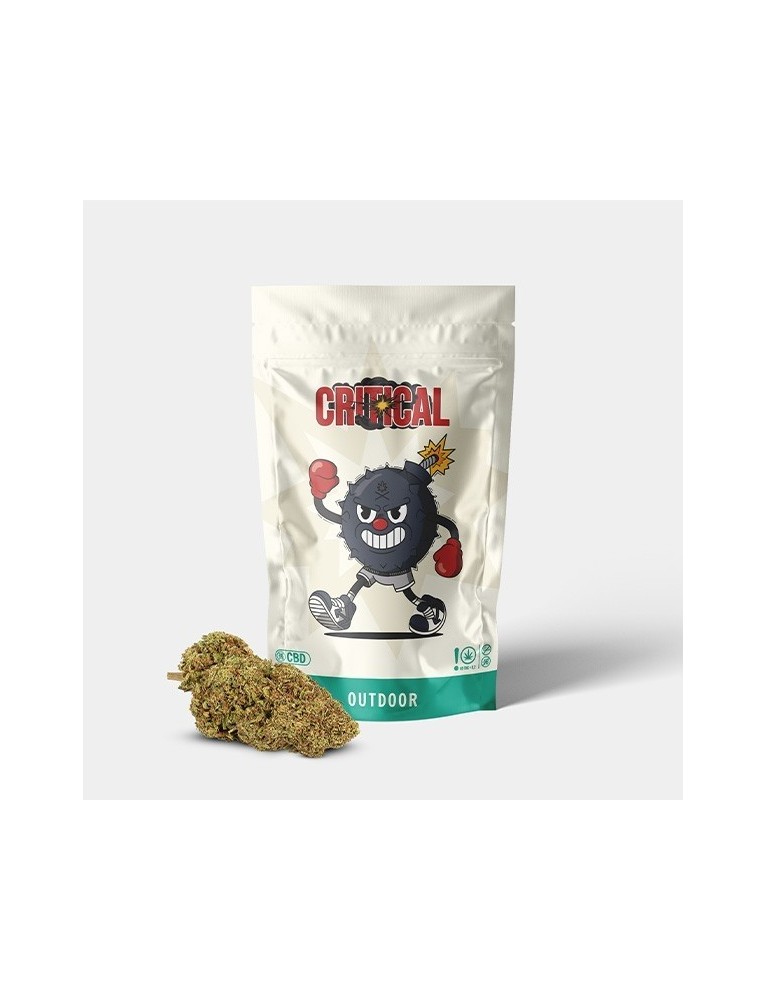 Flores CBD GB Outdoor 'Critical +'