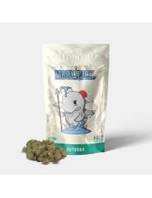 Flores CBD GB Outdoor 'Moby...