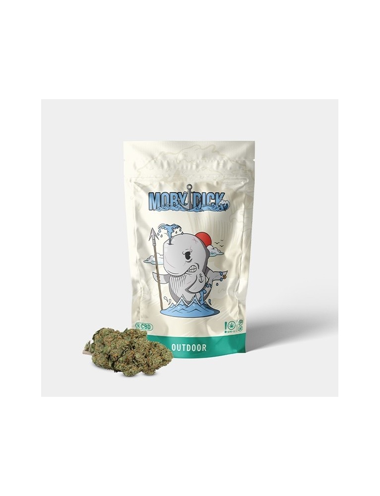 Flores CBD GB Outdoor 'Moby Dick'