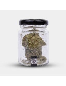 Flores CBD Durban Poison Cocori Kush 5g