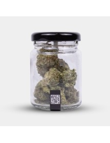 Flores CBD X Haze Cocori Kush 5g